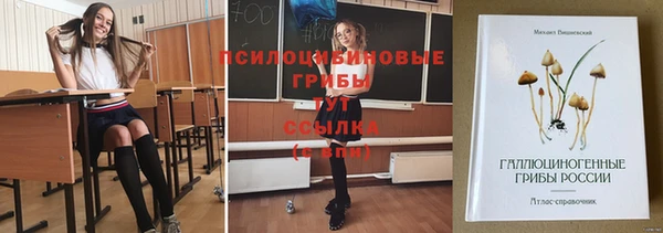 мет Арсеньев