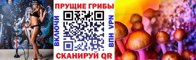 Галлюциногенные грибы прущие грибы  Артёмовск 
